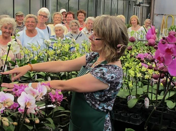 Führung im Orchideen Zentrum Wichmann Führung im Orchideen Zentrum WichmannGuided Tour in the Orchid Centre Wichmann