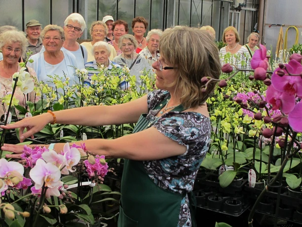 Guided Tour in the Orchid Centre Wichmann