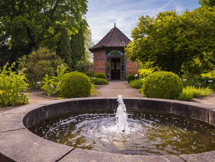 Der Heilpflanzengarten in Celle Der Heilpflanzengarten in CelleThe Healing Herbs Garden