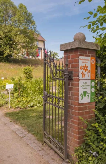 Der Heilpflanzengarten in Celle Der Heilpflanzengarten in CelleThe Healing Herbs Garden