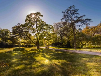 Schlosspark in Celle Schlosspark in CelleThe Palace Park