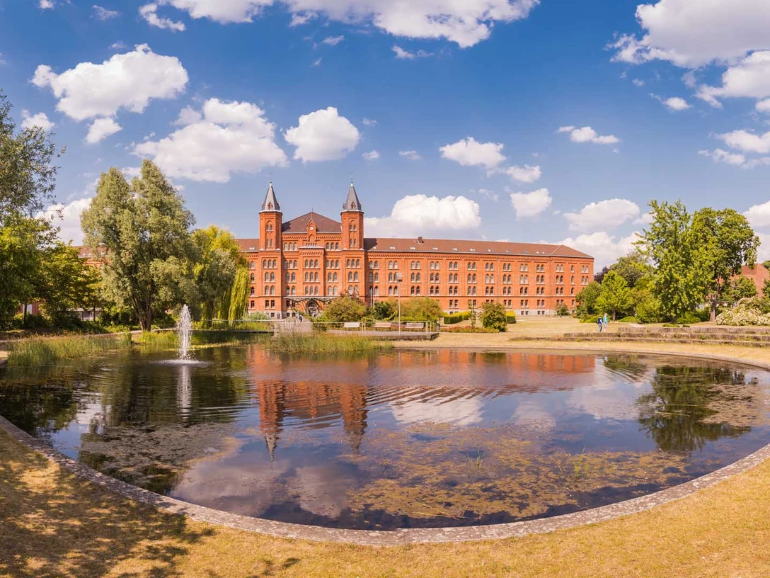 Stadtpark Celle Stadtpark CelleCelle’s Town Park