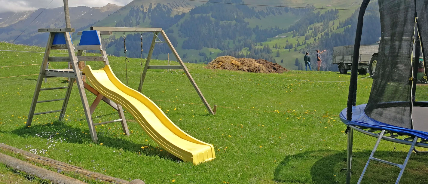 Spielplatz auf Wiese mit Rutschbahn, Schaukel und Trampolin