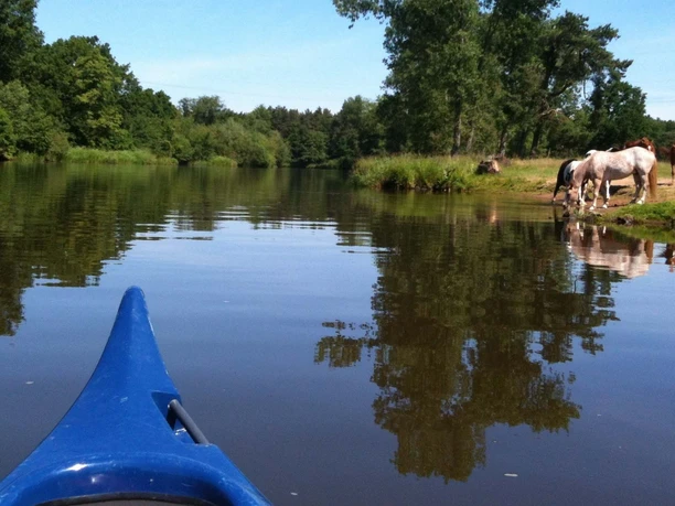 Canoeing on the Aller with Meyer's KANATOUR Canoeing on the Aller with Meyer's KANATOUR