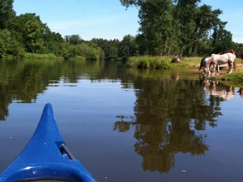 Kanufahren auf der Aller mit Meyer's KANATOUR Kanufahren auf der Aller mit Meyer's KANATOURCanoeing on the Aller with Meyer's KANATOUR