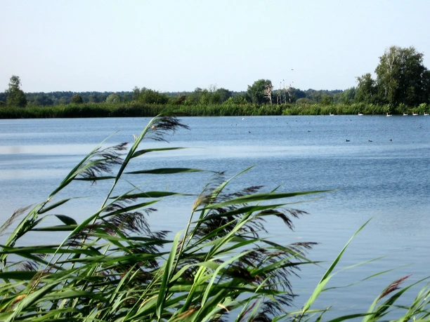 Hüttensee Park Meißendorf Ponds