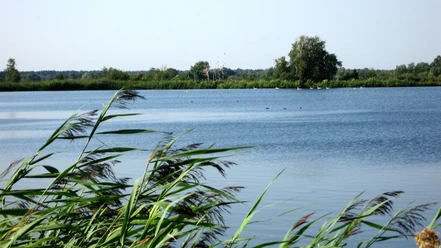Hüttenseepark Meißendorfer Teiche Hüttenseepark Meißendorfer Teiche