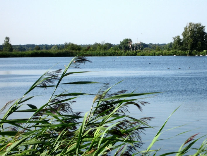 Hüttenseepark Meißendorfer Teiche Hüttenseepark Meißendorfer TeicheHüttensee Park Meißendorf Ponds