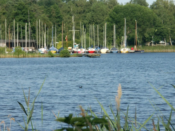 Hüttensee Park Meißendorf Ponds