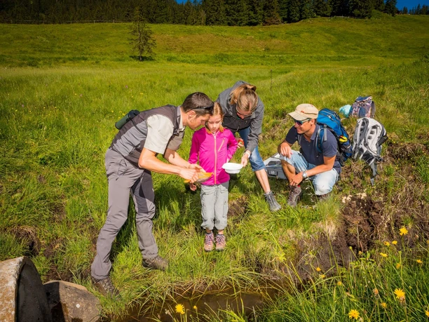 habkern-lombachalp-forscherkoffer-sommer-familie-ranger