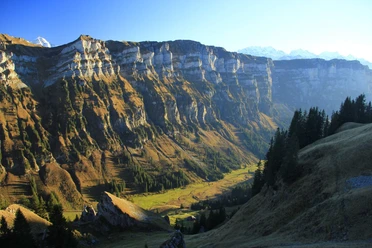 sigriswil-justistal-herbst-wandern-alplandschaften-hirschbrunftbeobachtung