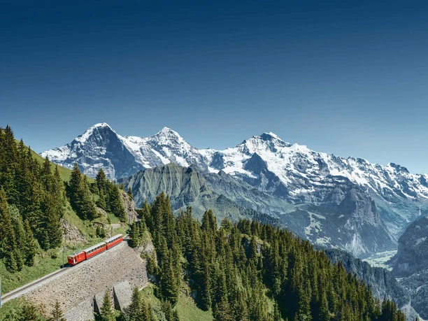 schynige-platte-bahn-panorama-sommer
