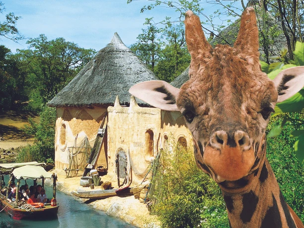 Giraffen im Erlebnis-Zoo Hannover