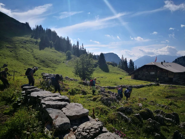 Guided hikes over hill and dale