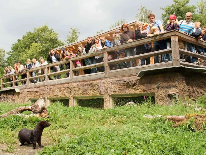 OTTER-ZENTRUM Hankensbüttel OTTER-ZENTRUM HankensbüttelHankensbüttel Otter Centre
