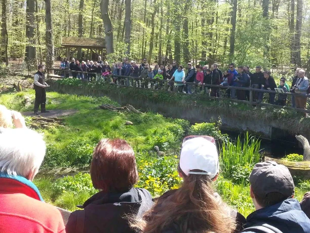 Feeding the polecats at OTTER-ZENTRUM Hankensbüttel