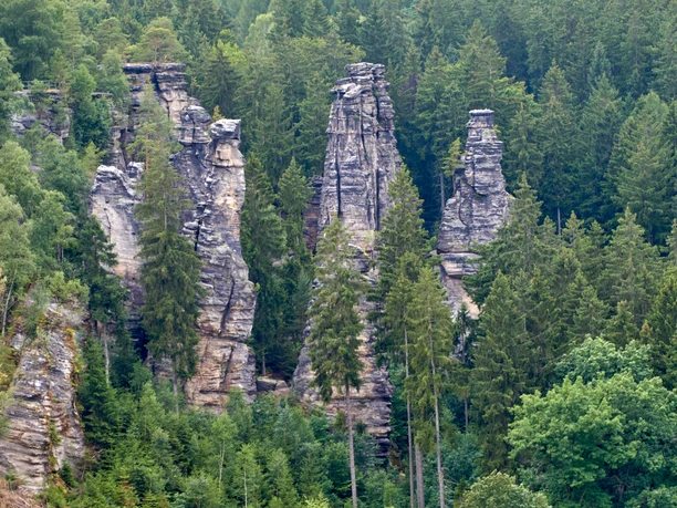 Aussicht vom Kanzelstein im Bielatal Hohe, schroffe Felsformationen ragen aus einem dichten, grünen Wald empor, umgeben von zahlreichen Nadelbäumen.