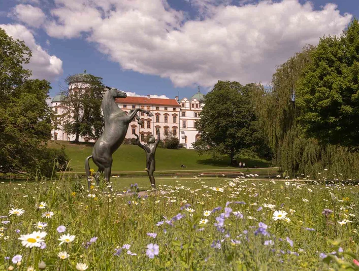 Hengst Wohlklang Hengst Wohlklang‚Wohlklang‘ The Stallion