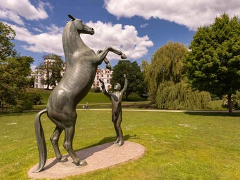 Hengst Wohlklang Hengst Wohlklang‚Wohlklang‘ The Stallion