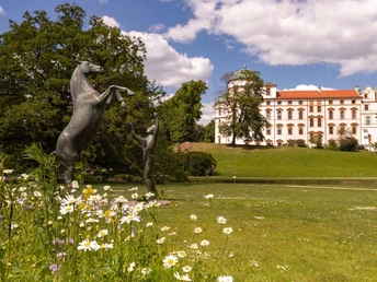 Der Hengst Wohlklang vor dem Celler Schloss Der Hengst Wohlklang vor dem Celler Schloss‚Wohlklang‘ The Stallion