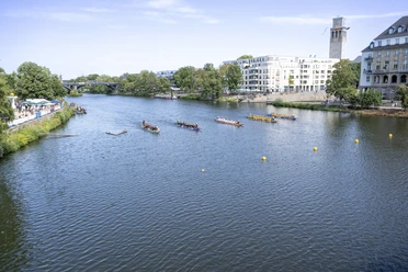 Drachenboote wetteifern auf einem breiten Fluss, gesäumt von Bäumen und modernen Gebäuden.