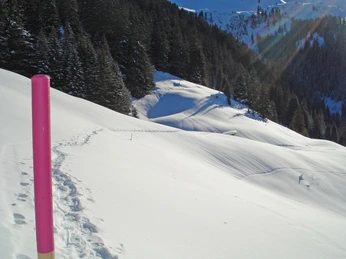 Schneeschuhtrail Grimmialp in wunderbarer Winterlandschaft