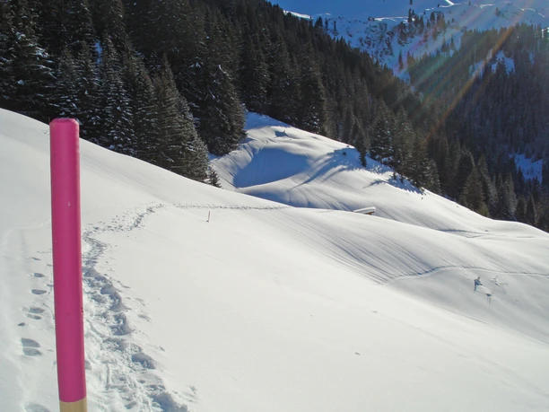 Schneeschuhspur im Schnee