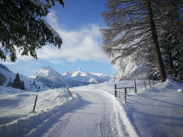Winter view from the Hotel Kurhaus Grimmialp