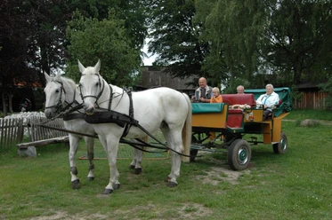 kutsche-lüneburger-heide