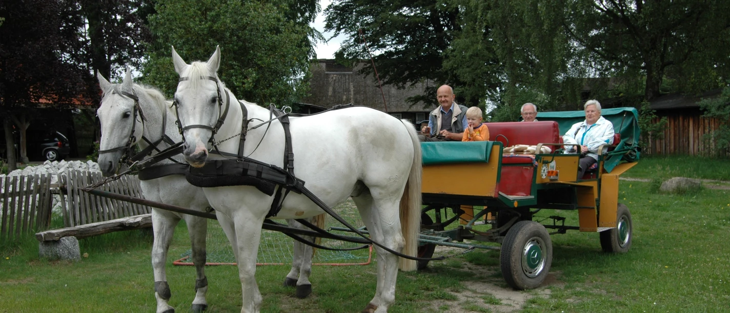 kutsche-lüneburger-heide