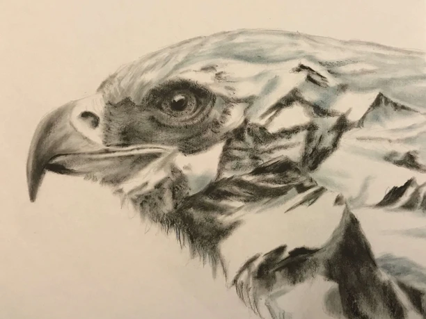 Galerie Diskus - Eagle