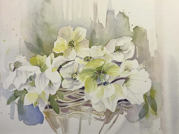 Gallery Discus - Flowers