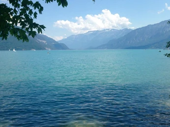 faulensee-strandbad-sommer-thunersee-schatten-panorama