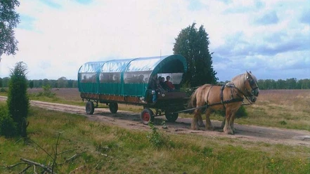 Krüger Heath Trips - Carriage ride through the Lüneburg Heath Krüger Heath Trips - Carriage ride through the Lüneburg Heath