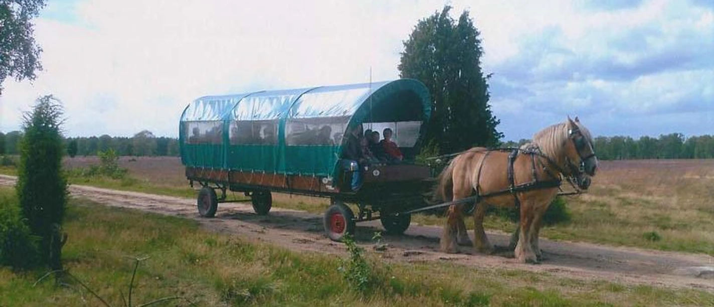 Krüger Heath Trips - Carriage ride through the Lüneburg Heath Krüger Heath Trips - Carriage ride through the Lüneburg Heath