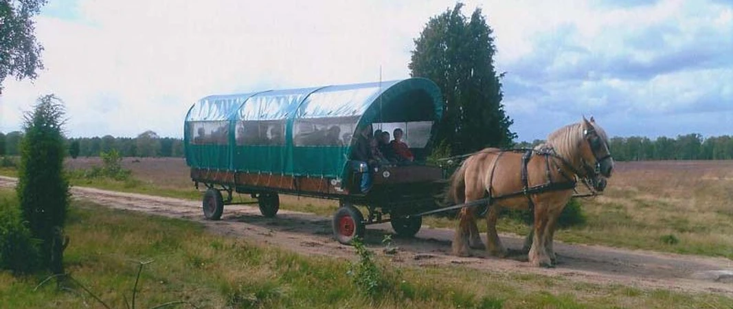 Krüger Heidefahrt - Kutschfahrt durch die Lüneburger Heide Krüger Heidefahrt - Kutschfahrt durch die Lüneburger HeideKrüger Heath Trips - Carriage ride through the Lüneburg Heath