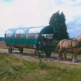Krüger Heidefahrt - Kutschfahrt durch die Lüneburger Heide Krüger Heidefahrt - Kutschfahrt durch die Lüneburger HeideKrüger Heath Trips - Carriage ride through the Lüneburg Heath