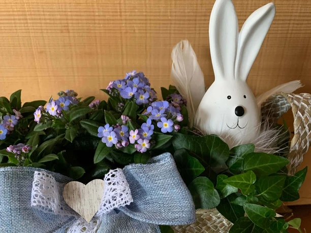 Easter Decoration Myosotis