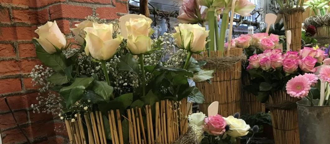 celle-blumeneck-gabiundpetra-einkaufen-blumenauswahl