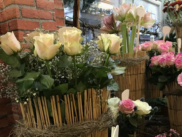 celle-blumeneck-gabiundpetra-einkaufen-blumenauswahl