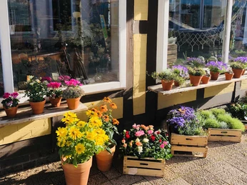 celle-einkaufen-blumeneck