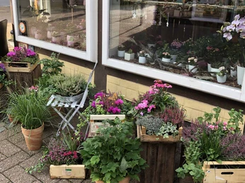 celle-einkaufen-blumeneck