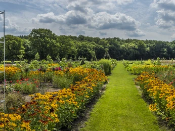 jaspershof_k-chengarten03