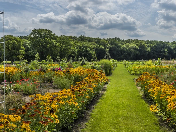 jaspershof_k-chengarten03