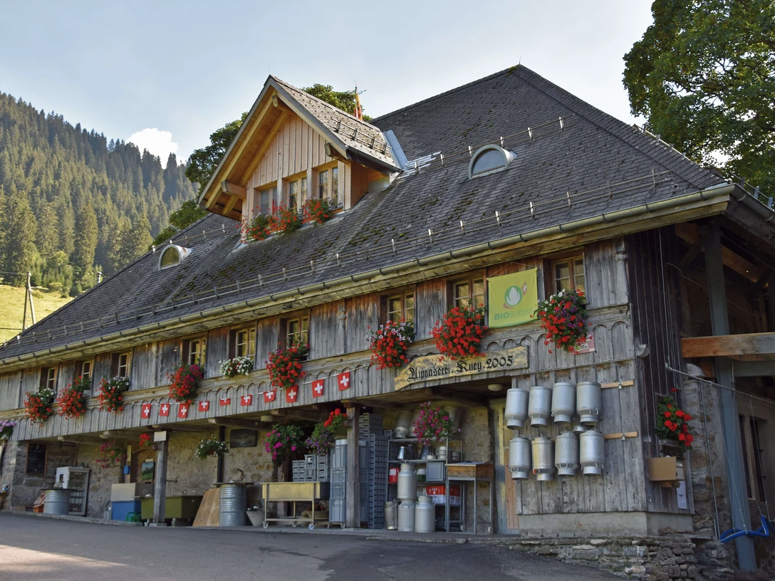 «Kiley» Alpin Cheese Factory