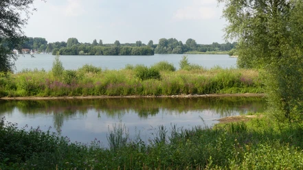 Fluss Lippe fließt ruhig durch grüne Vegetation, im Hintergrund glitzert der Lippesee im Tageslicht.