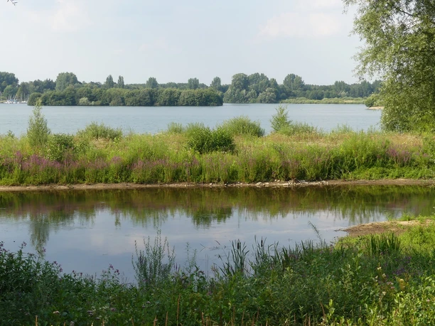 Fluss Lippe fließt ruhig durch grüne Vegetation, im Hintergrund glitzert der Lippesee im Tageslicht.