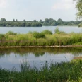 Lippe mit Trenndamm zum Lippesee Fluss Lippe fließt ruhig durch grüne Vegetation, im Hintergrund glitzert der Lippesee im Tageslicht.