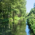 Boker-Heide-Kanal bei Paderborn-Sande Grüner Kanal umgeben von dichter Vegetation und Bäumen, unter blauem Himmel bei Paderborn-Sande.