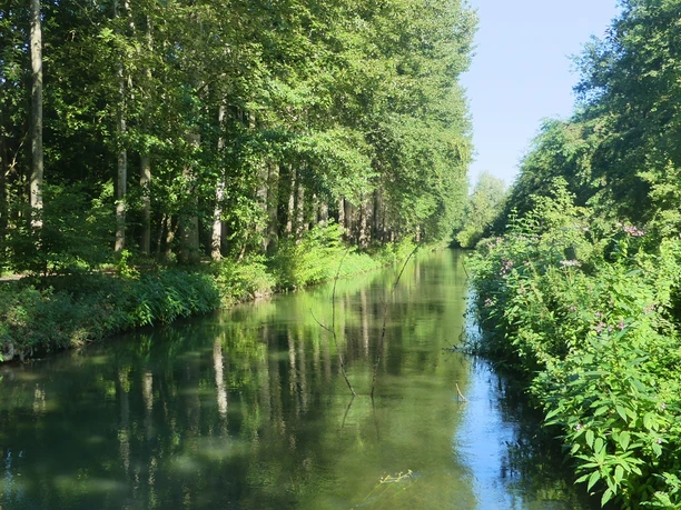 Boker-Heide-Kanal bei Paderborn-Sande Grüner Kanal umgeben von dichter Vegetation und Bäumen, unter blauem Himmel bei Paderborn-Sande.